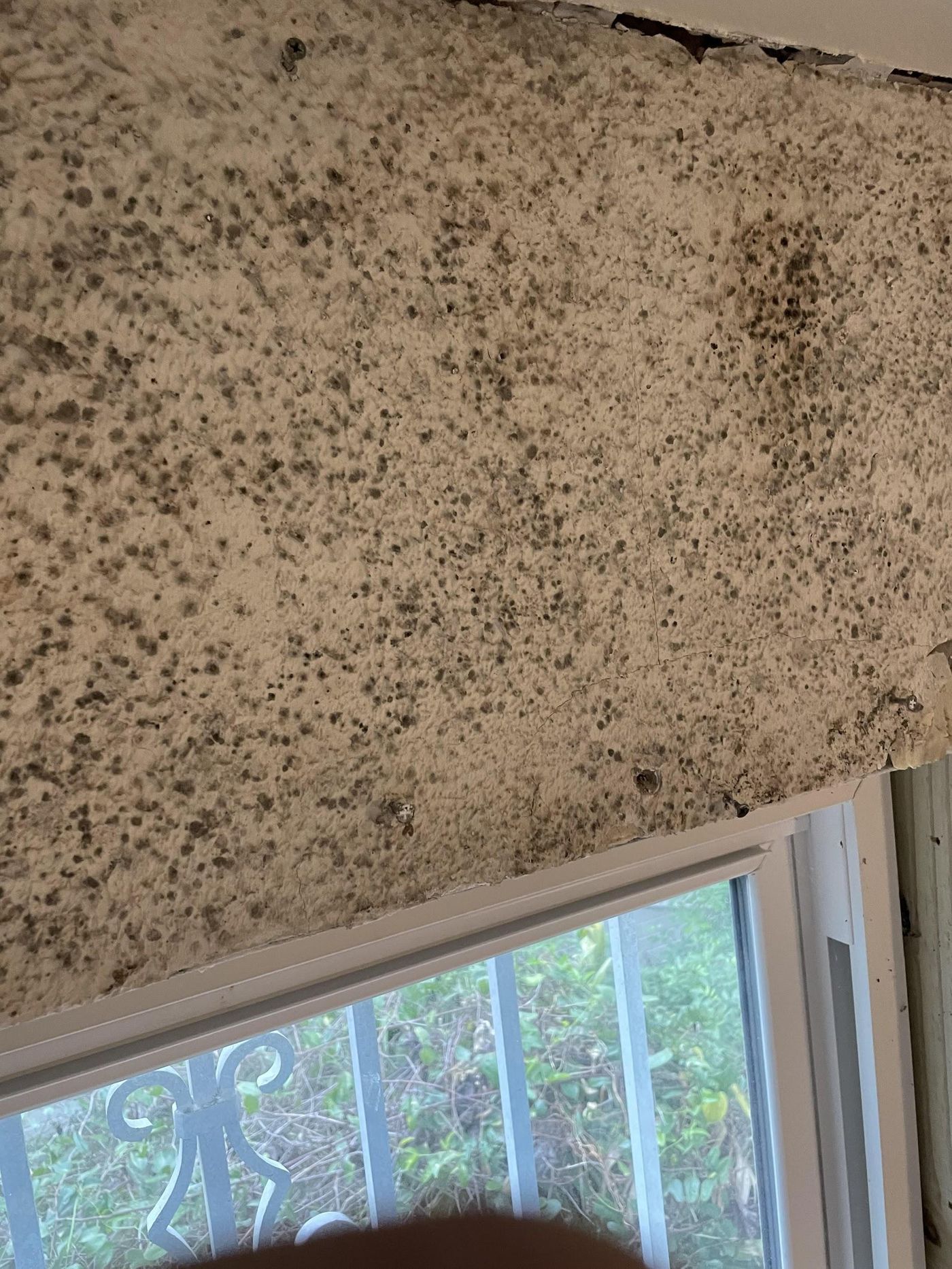 Mold between wall layers
